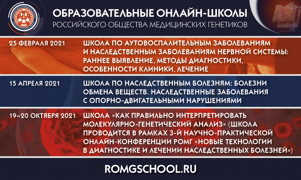 Образовательные онлайн-школы РОМГ 108072001